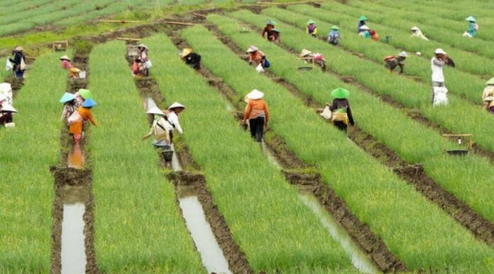 Macam-Macam Pasar Input Lengkap dengan Teorinya