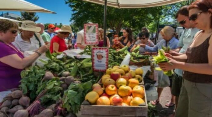 Pengertian Motif Ekonomi dan Macam-Macamnya