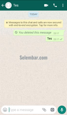 Pesan WhatsApp berhasil dihapus Pesan WhatsApp berhasil dihapus