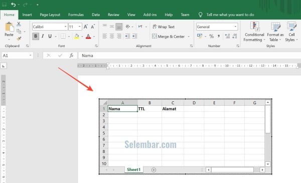Memasukkan data di Spreadsheet Excel Memasukkan data di Spreadsheet Excel