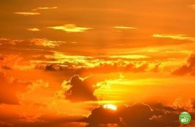 warna orange jingga warna orange jingga