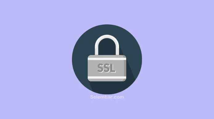 Mengenal Apa Itu Sertifikat SSL dan Fungsinya
